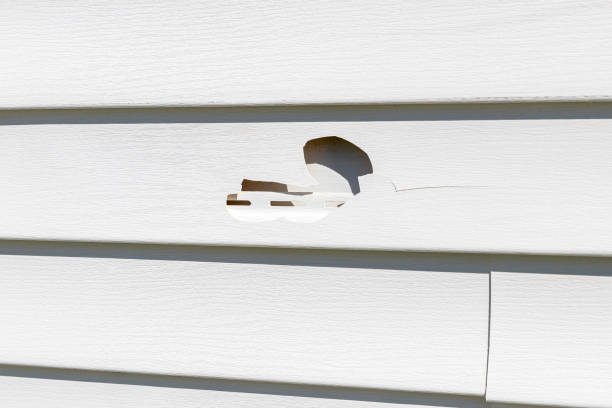 Best Stucco Siding  in Bayside, WI